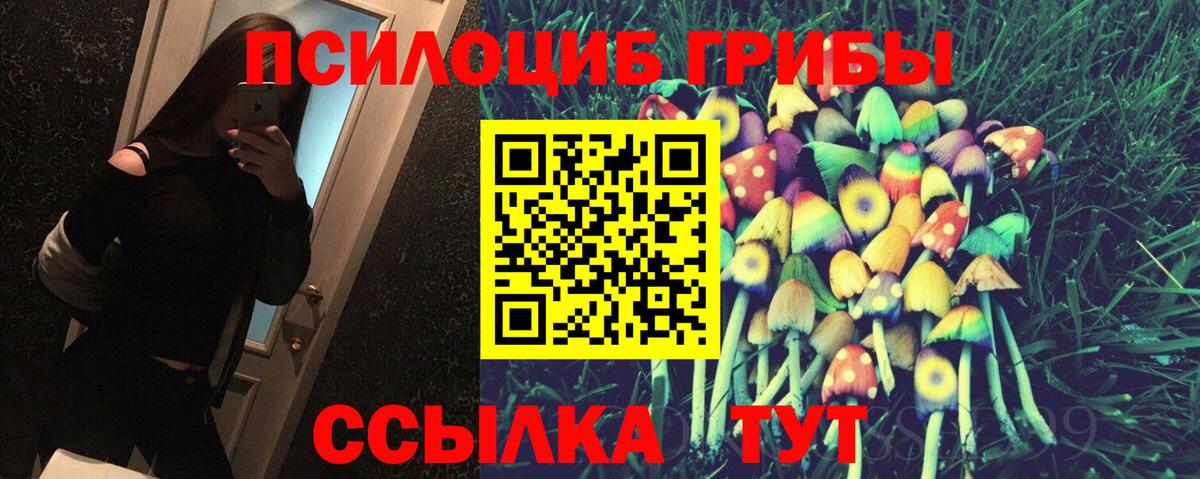 Псилоцибиновые грибы MAGIC MUSHROOMS  Вход с VPN  Приморско-Ахтарск 