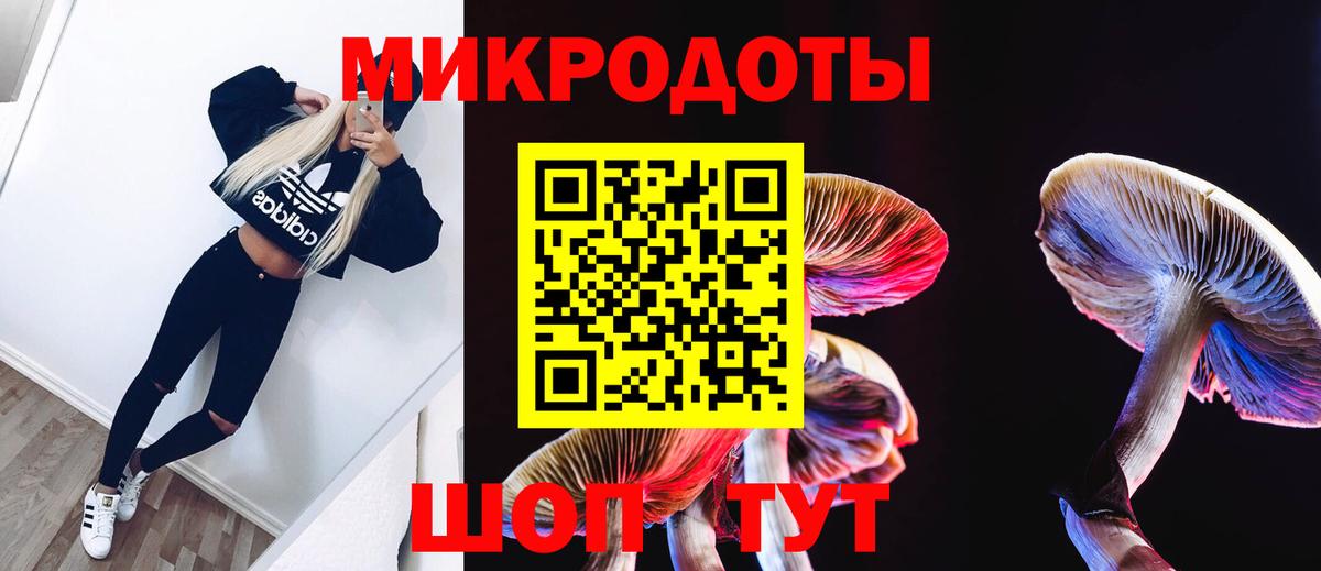 Галлюциногенные грибы GOLDEN TEACHER Приморско-Ахтарск